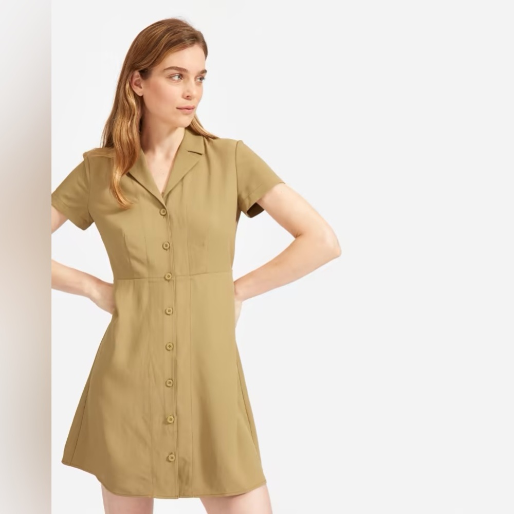 Everlane The Japanese GoWeave Notch Shirtdress 00